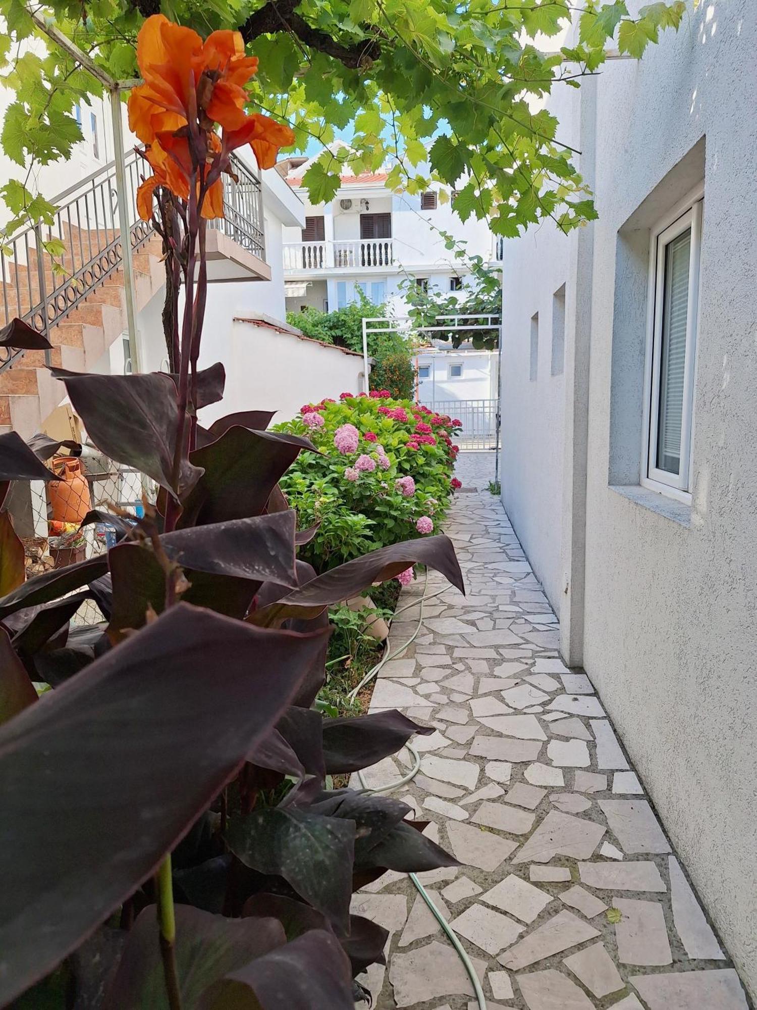 Apartmani Hortenzija Budva Bagian luar foto