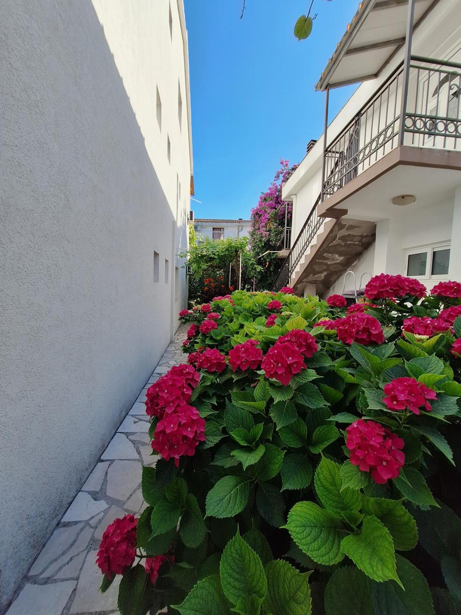 Apartmani Hortenzija Budva Bagian luar foto