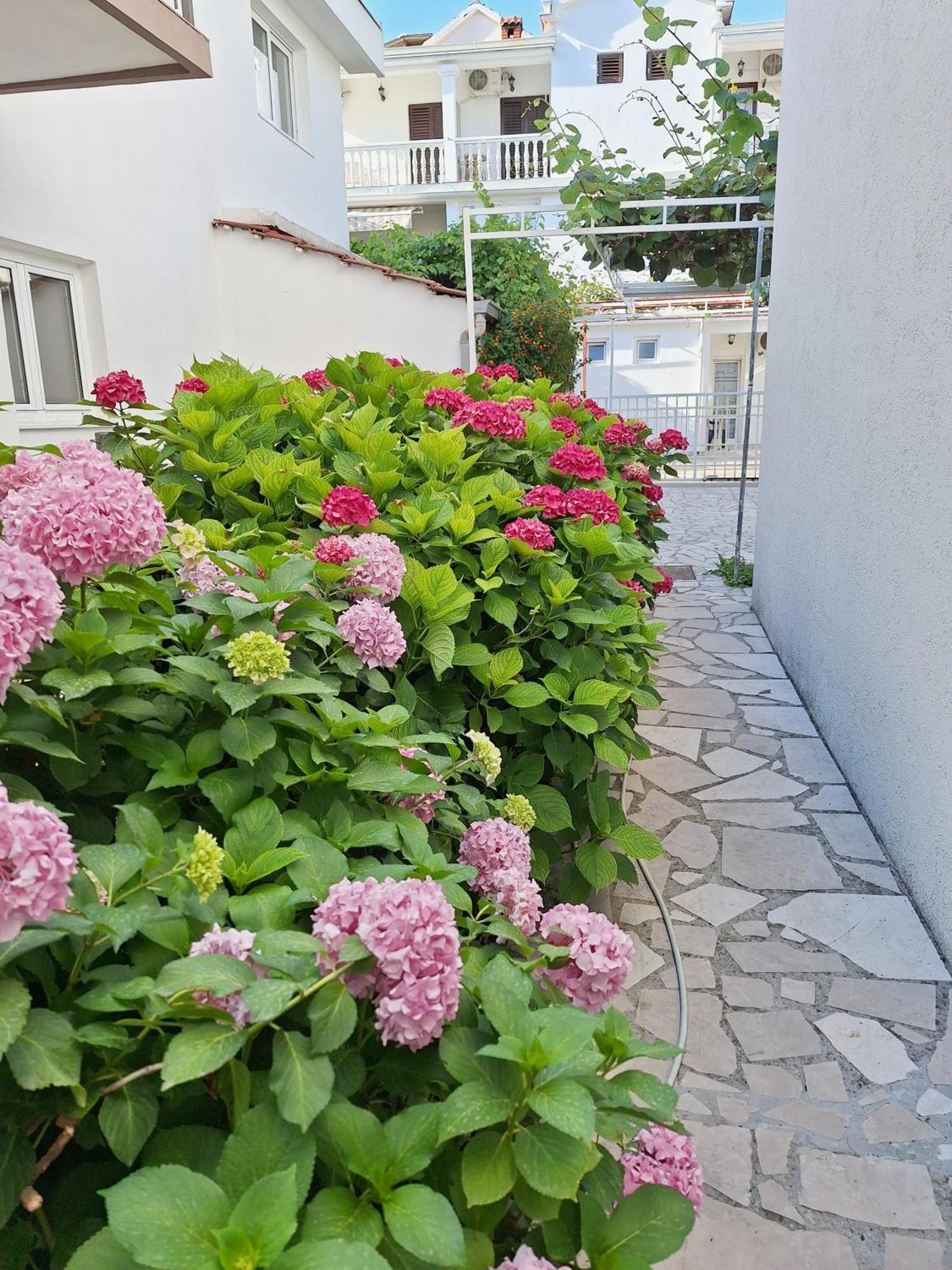 Apartmani Hortenzija Budva Bagian luar foto