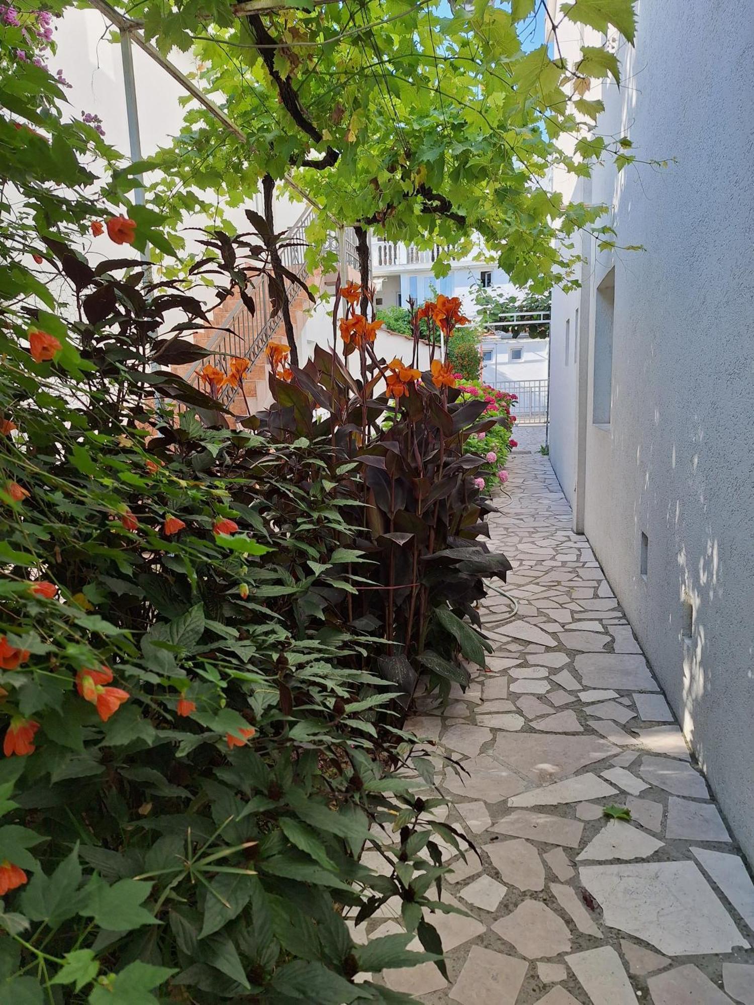 Apartmani Hortenzija Budva Bagian luar foto
