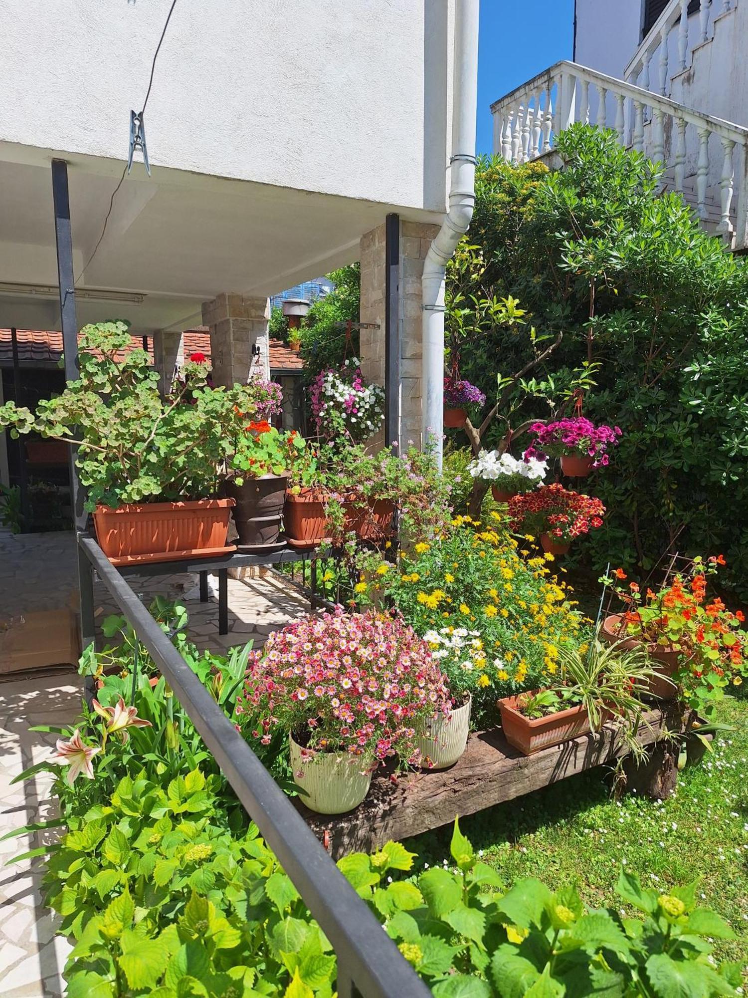 Apartmani Hortenzija Budva Bagian luar foto