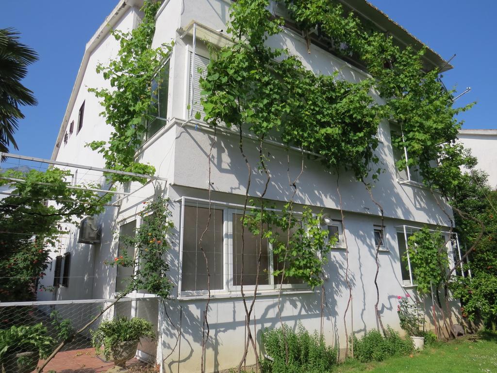 Apartmani Hortenzija Budva Bagian luar foto